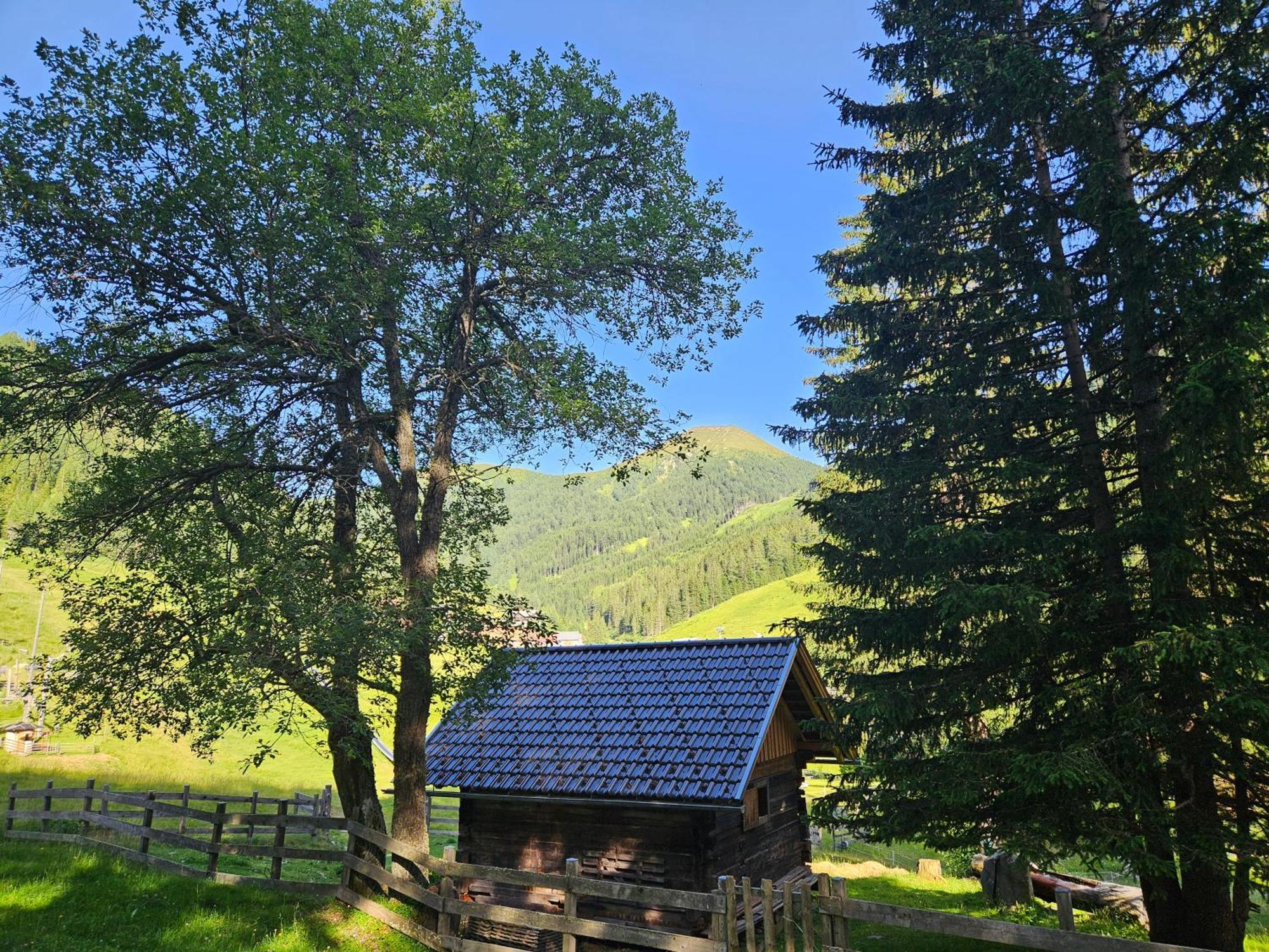 Kinder- Und Familienhotel Nockalm Иннеркремс Экстерьер фото